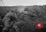 Image 1re armée française des troupes Colmar France, 1945, de la seconde 24 séquences d'archives historiques vidéo 65675055082