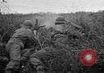 Image 1re armée française des troupes Colmar France, 1945, de la seconde 25 séquences d'archives historiques vidéo 65675055082