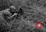 Image 1re armée française des troupes Colmar France, 1945, de la seconde 28 séquences d'archives historiques vidéo 65675055082