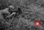 Image 1re armée française des troupes Colmar France, 1945, de la seconde 30 séquences d'archives historiques vidéo 65675055082