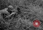Image 1re armée française des troupes Colmar France, 1945, de la seconde 31 séquences d'archives historiques vidéo 65675055082