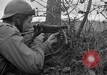 Image 1re armée française des troupes Colmar France, 1945, de la seconde 47 séquences d'archives historiques vidéo 65675055082