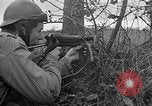 Image 1re armée française des troupes Colmar France, 1945, de la seconde 49 séquences d'archives historiques vidéo 65675055082