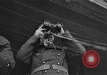 Immagine di Il francese II Corps Colmar Francia, 1945, secondo 34 filmato di repertorio 65675055084
