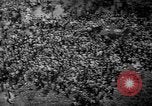 Image of Victory in Europe Day Paris France, 1945, second 46 stock footage video 65675055093