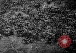 Image of Victory in Europe Day Paris France, 1945, second 47 stock footage video 65675055093