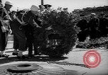 Image of Memorial Day France, 1946, second 16 stock footage video 65675055094