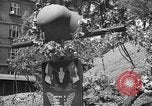Image of tomb of Czech heroes Prague Czechoslovakia, 1946, second 29 stock footage video 65675055098