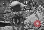 Image of tomb of Czech heroes Prague Czechoslovakia, 1946, second 31 stock footage video 65675055098
