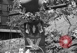 Image of tomb of Czech heroes Prague Czechoslovakia, 1946, second 39 stock footage video 65675055098