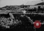Image of tombs Prague Czechoslovakia, 1946, second 47 stock footage video 65675055101