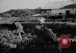 Image of tombs Prague Czechoslovakia, 1946, second 51 stock footage video 65675055101