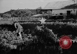 Image of tombs Prague Czechoslovakia, 1946, second 52 stock footage video 65675055101