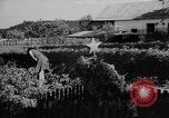 Image of tombs Prague Czechoslovakia, 1946, second 53 stock footage video 65675055101