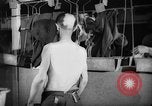 Image of repatriation of French prisoners from Nazi concentration camp France, 1945, second 55 stock footage video 65675055113