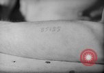 Image of repatriation of French prisoners from Nazi concentration camp France, 1945, second 61 stock footage video 65675055113