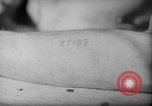 Image of repatriation of French prisoners from Nazi concentration camp France, 1945, second 62 stock footage video 65675055113