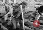 Immagine di Prigionieri di guerra tedeschi Varsavia POLONIA, 1947, secondo 28 filmato di repertorio 65675055115