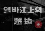 Image of Meeting on the Elbe Germany, 1945, second 9 stock footage video 65675055122