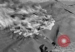 Standbild Befreiung Frankreichs Normandie Frankreich, 1944, aus Sekunde 44 historischem Filmmaterial Videoclip 65675055124
