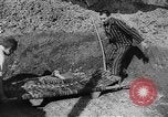 Image of concentration camp Germany, 1945, second 29 stock footage video 65675055132