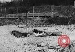 Image of concentration camp Germany, 1945, second 34 stock footage video 65675055132