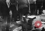 Image of concentration camp Germany, 1945, second 53 stock footage video 65675055132