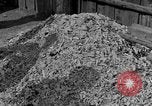 Image of Buchenwald concentration camp Germany, 1945, second 1 stock footage video 65675055137