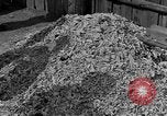 Image of Buchenwald concentration camp Germany, 1945, second 4 stock footage video 65675055137