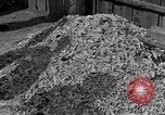 Image of Buchenwald concentration camp Germany, 1945, second 5 stock footage video 65675055137