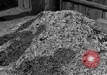 Image of Buchenwald concentration camp Germany, 1945, second 6 stock footage video 65675055137