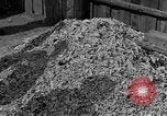 Image of Buchenwald concentration camp Germany, 1945, second 10 stock footage video 65675055137
