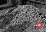 Image of Buchenwald concentration camp Germany, 1945, second 11 stock footage video 65675055137
