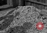 Image of Buchenwald concentration camp Germany, 1945, second 13 stock footage video 65675055137