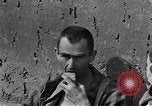 Image of Buchenwald concentration camp Germany, 1945, second 30 stock footage video 65675055137