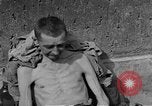 Image of Buchenwald concentration camp Germany, 1945, second 50 stock footage video 65675055137