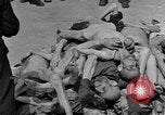 Image of Buchenwald concentration camp Germany, 1945, second 28 stock footage video 65675055138