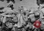 Image of Buchenwald concentration camp Germany, 1945, second 32 stock footage video 65675055138