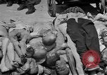 Image of Buchenwald concentration camp Germany, 1945, second 35 stock footage video 65675055138