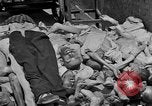 Image of Buchenwald concentration camp Germany, 1945, second 39 stock footage video 65675055138