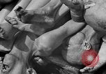 Image of Buchenwald concentration camp Germany, 1945, second 47 stock footage video 65675055138