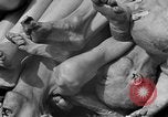 Image of Buchenwald concentration camp Germany, 1945, second 49 stock footage video 65675055138
