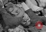 Image of Buchenwald concentration camp Germany, 1945, second 57 stock footage video 65675055138