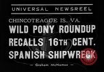 Standbild wilden Ponys Chincoteague Island Virginia USA, 1939, aus Sekunde 3 historischem Filmmaterial Videoclip 65675055162