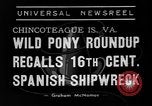 Standbild wilden Ponys Chincoteague Island Virginia USA, 1939, aus Sekunde 5 historischem Filmmaterial Videoclip 65675055162