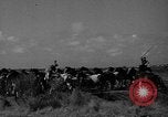 Standbild wilden Ponys Chincoteague Island Virginia USA, 1939, aus Sekunde 17 historischem Filmmaterial Videoclip 65675055162