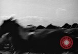 Standbild wilden Ponys Chincoteague Island Virginia USA, 1939, aus Sekunde 22 historischem Filmmaterial Videoclip 65675055162