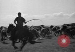 Standbild wilden Ponys Chincoteague Island Virginia USA, 1939, aus Sekunde 24 historischem Filmmaterial Videoclip 65675055162