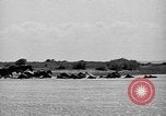 Standbild wilden Ponys Chincoteague Island Virginia USA, 1939, aus Sekunde 26 historischem Filmmaterial Videoclip 65675055162