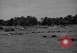 Standbild wilden Ponys Chincoteague Island Virginia USA, 1939, aus Sekunde 31 historischem Filmmaterial Videoclip 65675055162